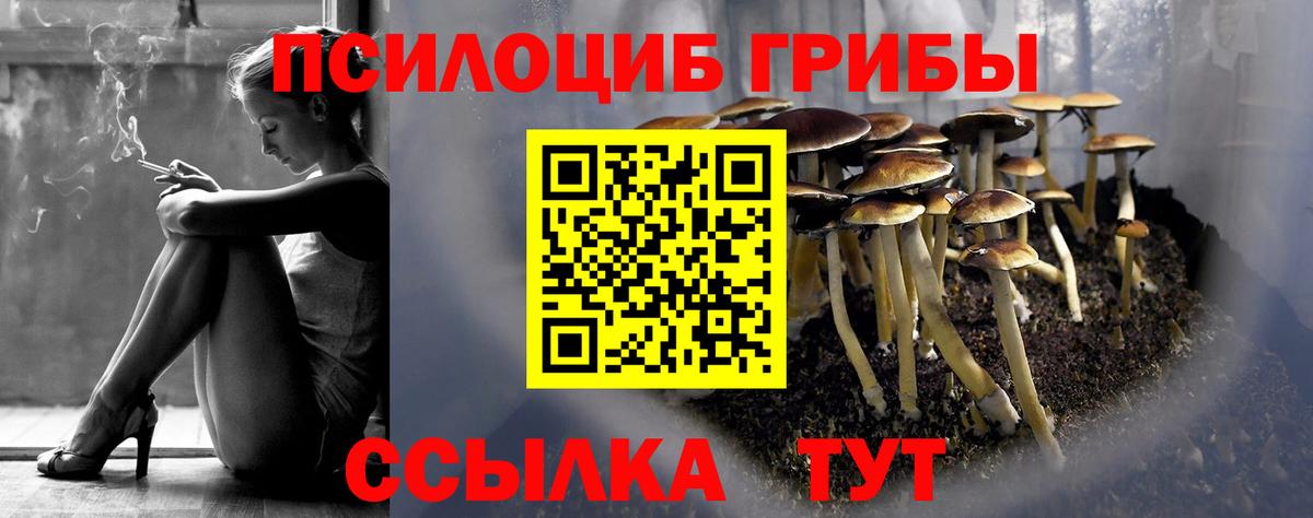 Галлюциногенные грибы Magic Shrooms Урай